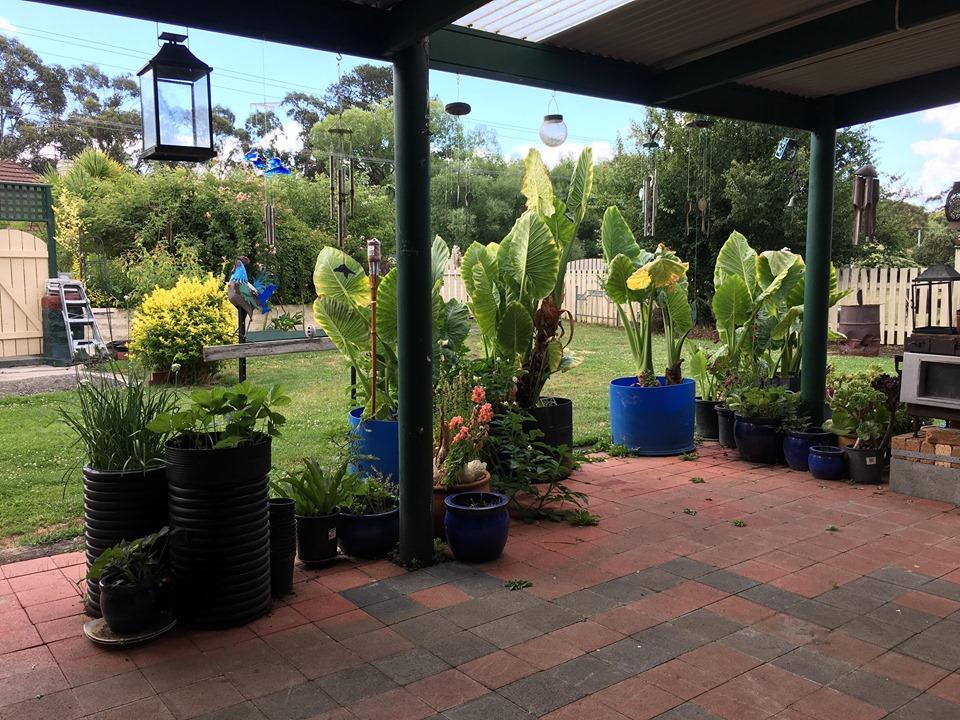  Seniors Australia