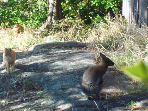 St. Pauls Bed & Breakfast - Seniors Australia 13