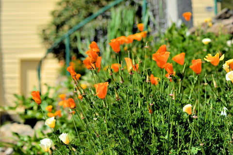 St. Pauls Bed & Breakfast - Seniors Australia 44