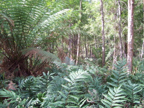 St. Pauls Bed & Breakfast - Seniors Australia 15