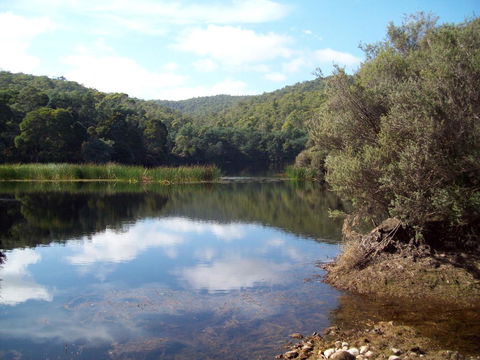 St. Pauls Bed & Breakfast - Seniors Australia 11