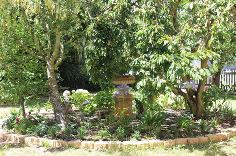 Bellamona - Seniors Australia 23