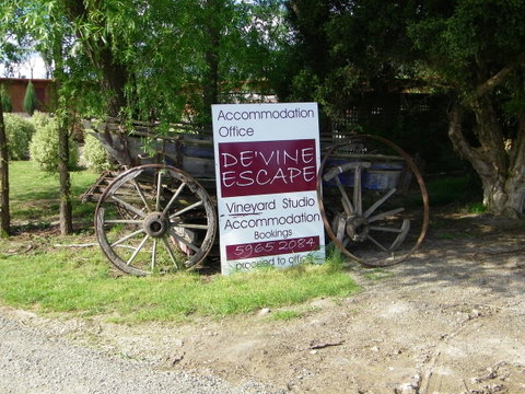 De'Vine Escape - Seniors Australia 28