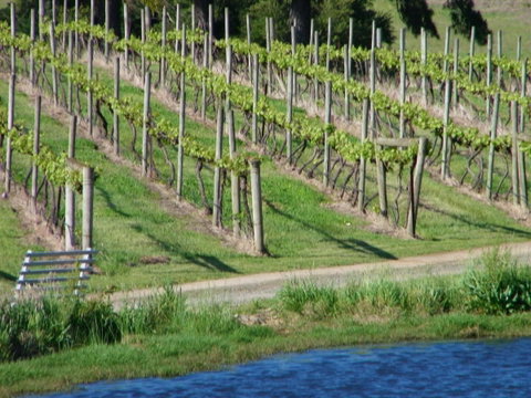 De'Vine Escape - Seniors Australia 13