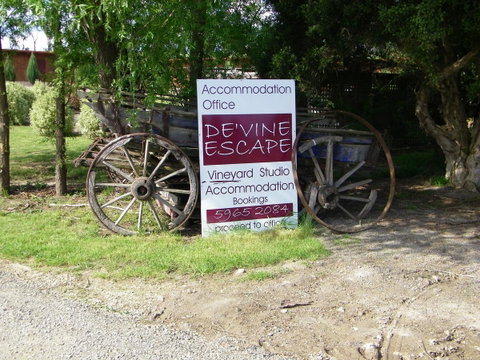 De'Vine Escape - Seniors Australia 1