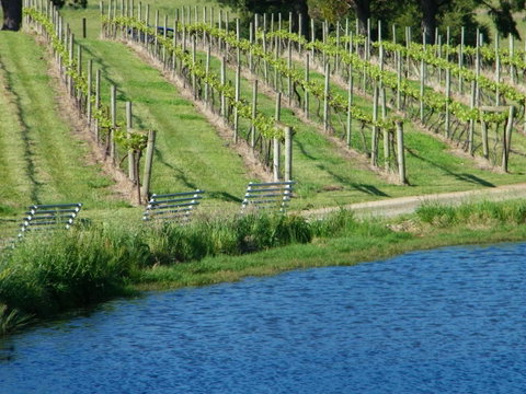 De'Vine Escape - Seniors Australia 29