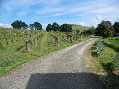 De'Vine Escape - Seniors Australia 24