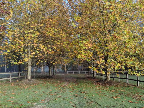 Kangaroo Manor - Seniors Australia 11