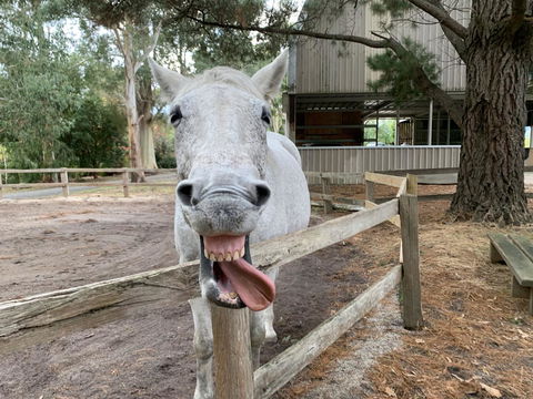 Kangaroo Manor - Seniors Australia 12