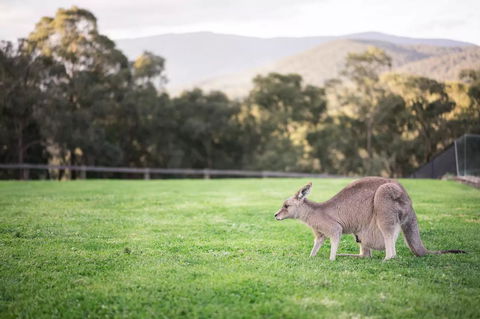 Kangaroo Manor - Seniors Australia 29