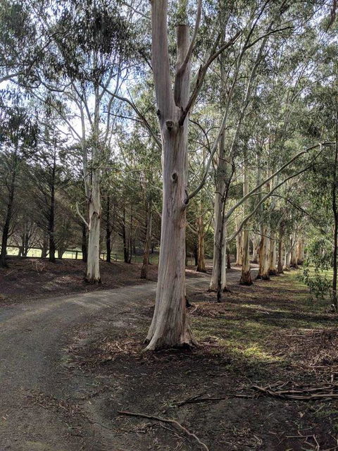 Kangaroo Manor - Seniors Australia 10