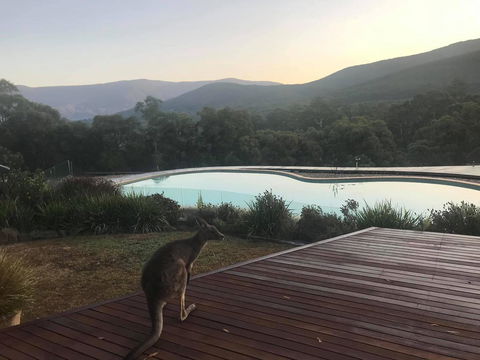 Kangaroo Manor - Seniors Australia 8