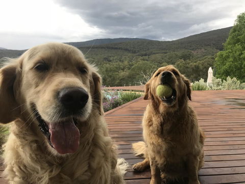 Kangaroo Manor - Seniors Australia 3