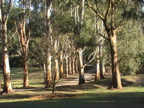 Kangaroo Manor - Seniors Australia 21