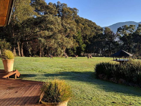 Kangaroo Manor - Seniors Australia 5