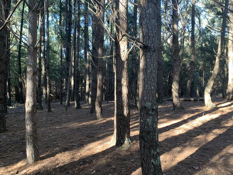 Kangaroo Manor - Seniors Australia 4