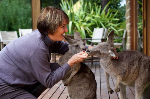 Kangaroo Manor - Seniors Australia 20