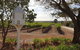 'In The Vines' Guest Cottage, Barossa Valley - thumb 0