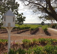 'In The Vines' Guest Cottage Barossa Valley - Seniors Australia