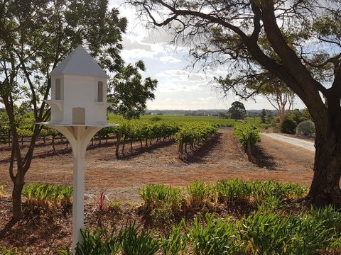'In The Vines' Guest Cottage, Barossa Valley - Seniors Australia 0