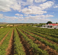 1837 Barossa Luxury Vineyard Cottages - Seniors Australia