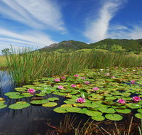 Barrington Hideaway- River Cottages - Seniors Australia