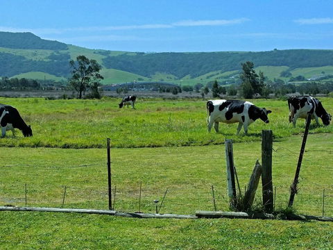 Bella Vista - Seniors Australia 3