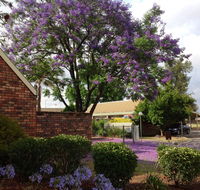 Belvoir Village Motel  Apartments Wodonga - Seniors Australia