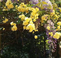 Bowral Road Bed and Breakfast - Seniors Australia