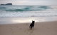 Breakers At Mudjimba Beach - thumb 0