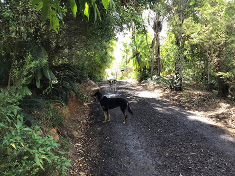 Bunya Cottage - Seniors Australia 2