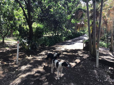 Bunya Cottage - Seniors Australia 3