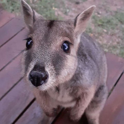 Camp Kanga - Seniors Australia 3