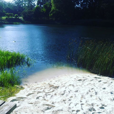 Cloudlake Mountain Retreat - Seniors Australia 3