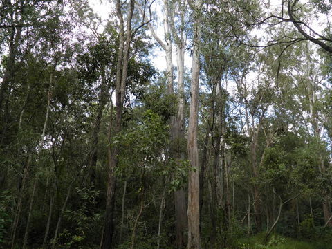 Coucals Cottage - Seniors Australia 3