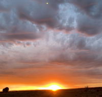 creative 3D sculpture share - Seniors Australia