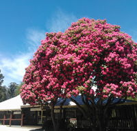 Crossways Country Inn - Seniors Australia