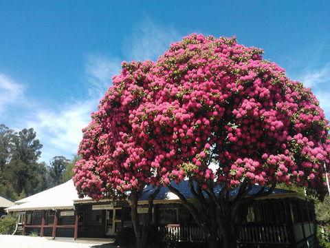 Crossways Country Inn - Seniors Australia 0