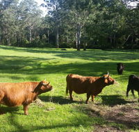 Dingley Dell - Seniors Australia