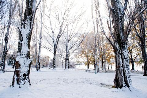 Discovery Parks - Jindabyne - Seniors Australia 3