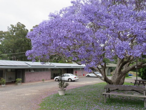 Ecotel Narooma - Seniors Australia 3