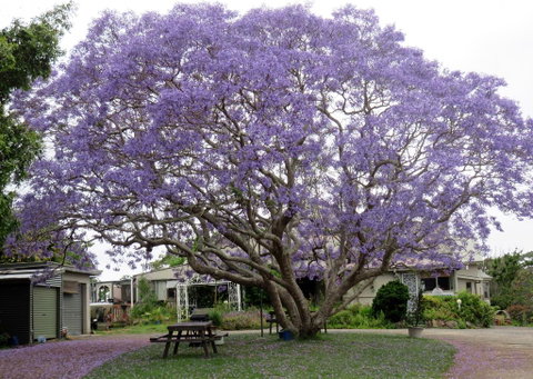 Ecotel Narooma - Seniors Australia 0