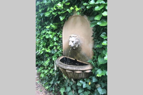 Elmswood BnB - Seniors Australia 2