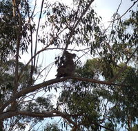 Escape to the Country - Enjoy the firepit or explore magical Bunya Mountains - Seniors Australia