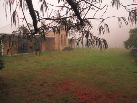 Ferndale B&B - Seniors Australia 1