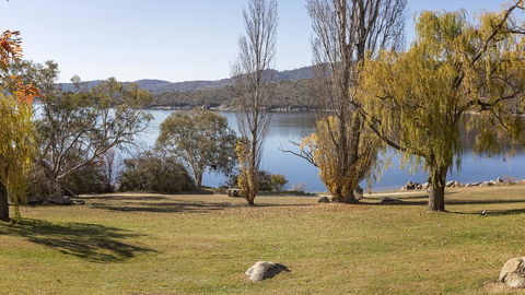 Grey Kangaroo- On Lake Jindabyne Foreshore - Seniors Australia 1