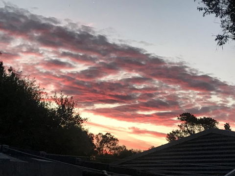 Guinevere - Seniors Australia 2