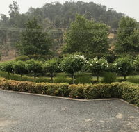 Guinevere - Seniors Australia