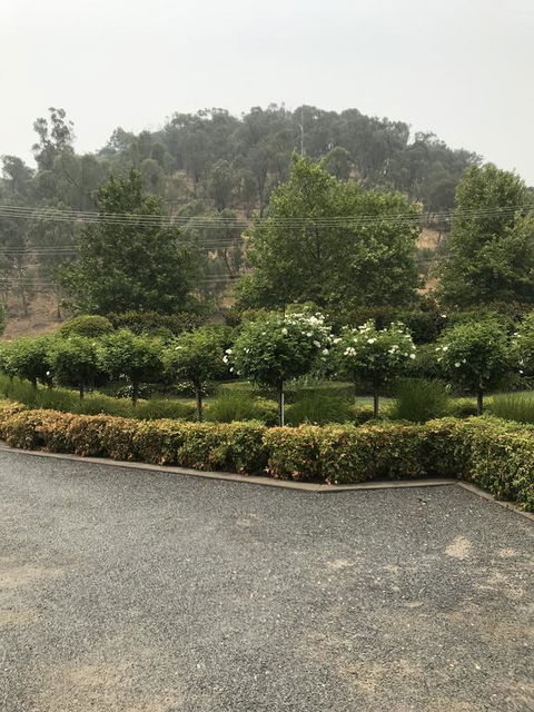 Guinevere - Seniors Australia 0