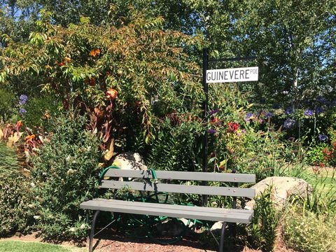 Guinevere - Seniors Australia 3